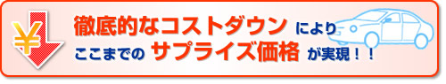 徹底的なコストダウンでサプライズ価格